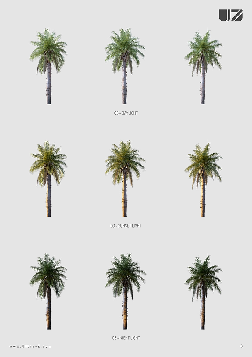 PALM TREES SET 3