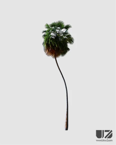 PALM TREE – Night Light