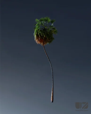 PALM TREE – Night Light