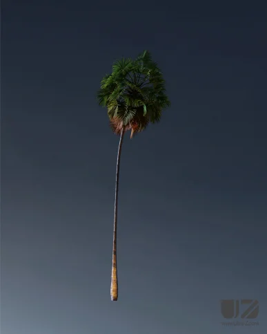 PALM TREE – Night Light