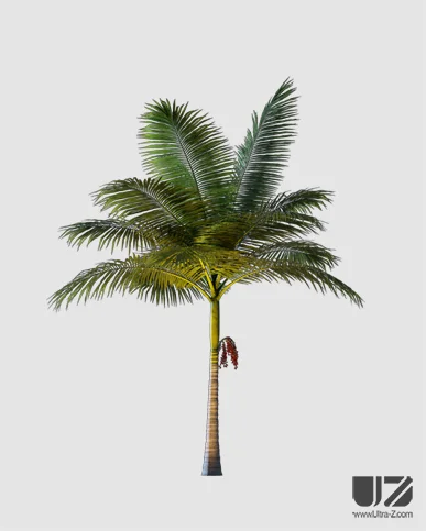 PALM TREE – Night Light