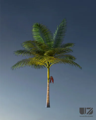 PALM TREE – Night Light