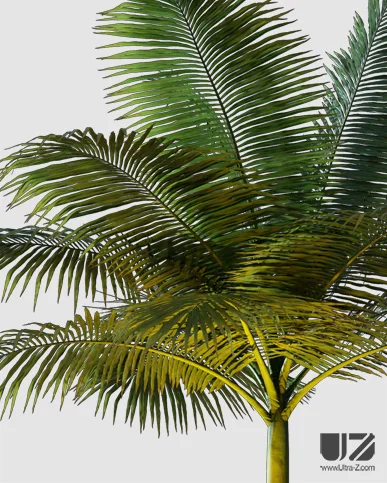 PALM TREE – Night Light