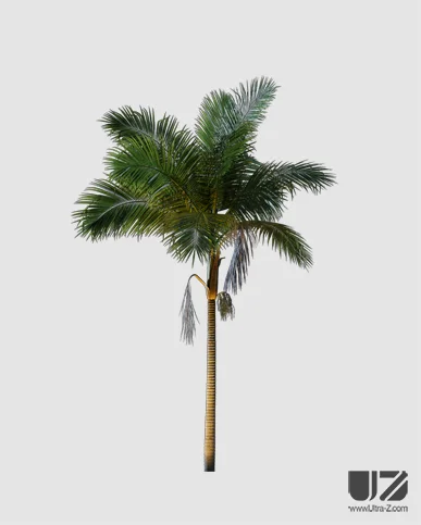 PALM TREE – Night Light