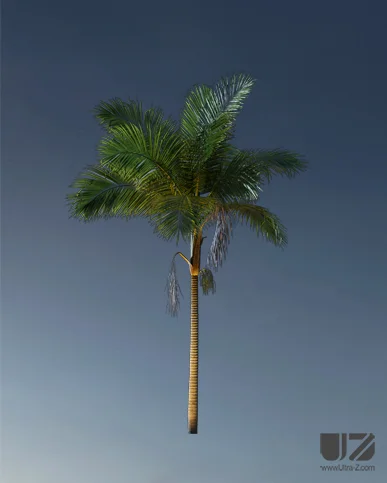 PALM TREE – Night Light