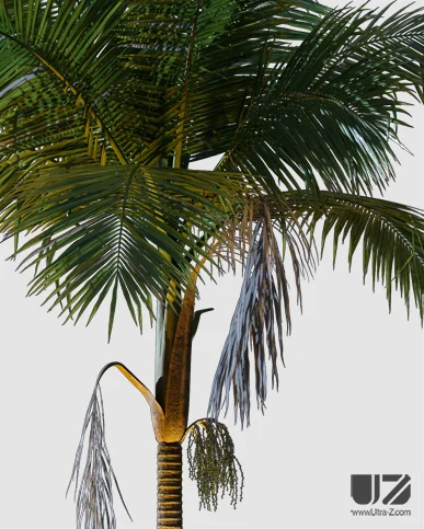 PALM TREE – Night Light