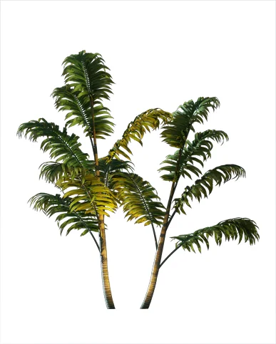 PALM TREE – Night Light