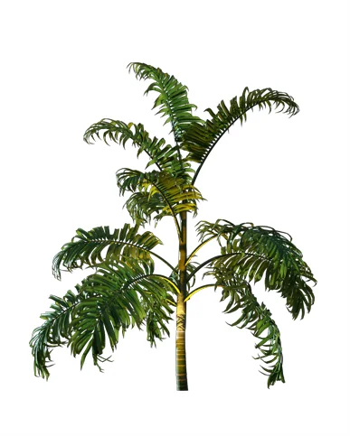 PALM TREE – Night Light